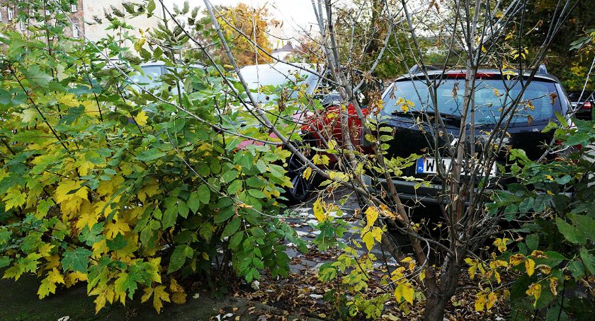 parking przy Radzymińskiej