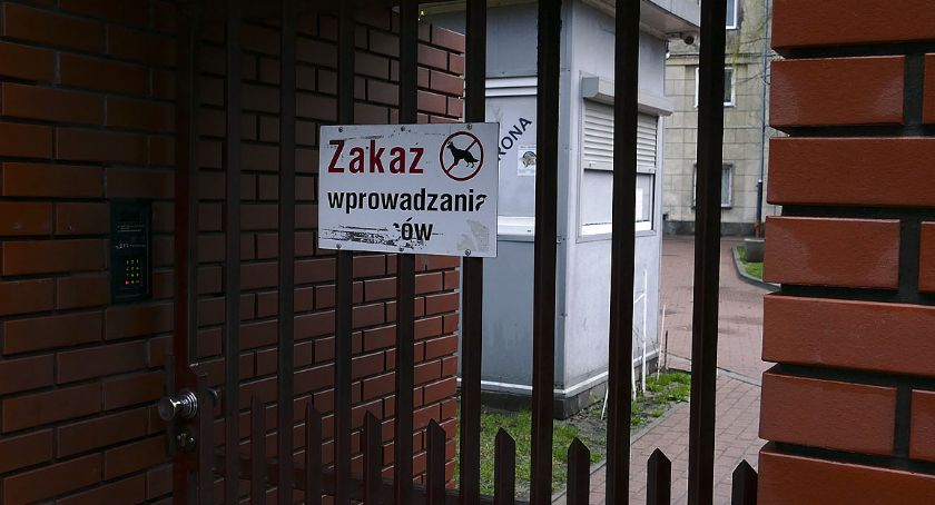 Praga bez czworonogów?
