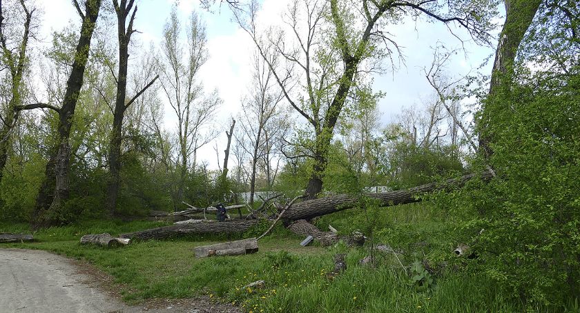 Wichura nad Wisłą