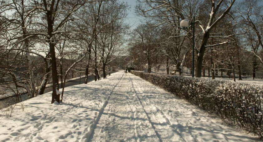 park 