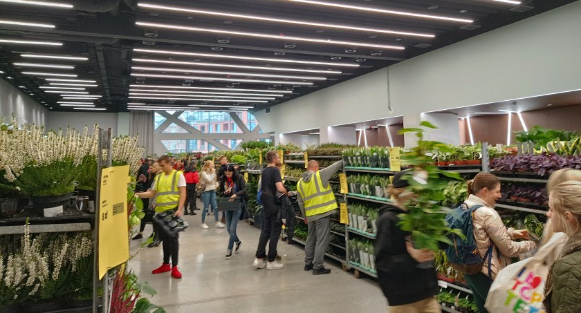 Festiwal Roślin 2022 w Centrum Praskim Koneser