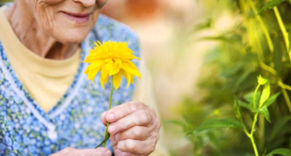 Seniorzy, Zakończenie Warszawskich Seniora Święto Naszych Seniorów Pradze Północ - zdjęcie, fotografia