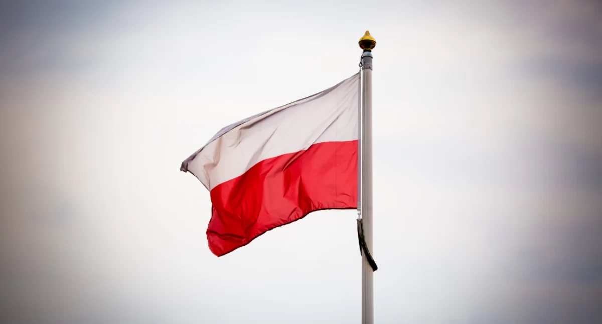 Historia, Narodowe Święto Niepodległości Pradze Północ Defilada Piknik Historyczny - zdjęcie, fotografia