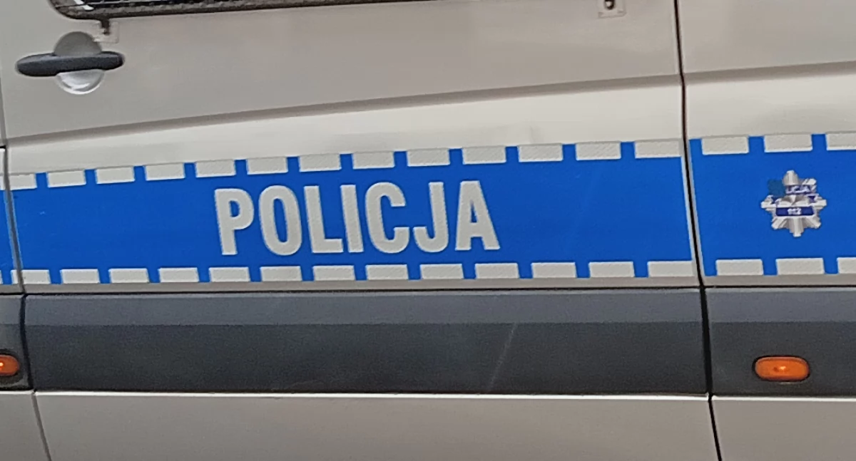 Zdjęcie poglądowe