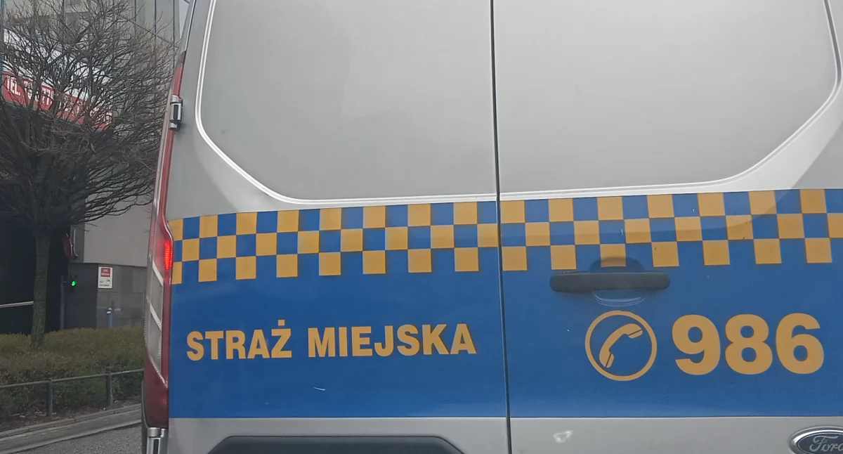 Zdjęcie poglądowe