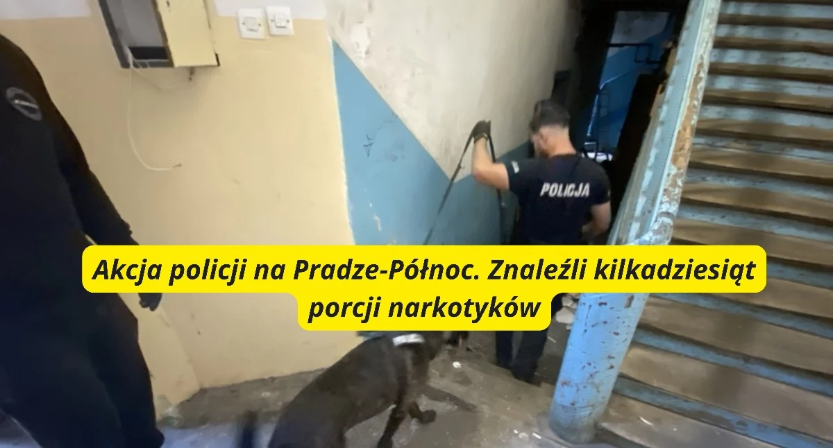 Bezpieczeństwo, Narkotykowa akcja warszawskiej Pradze latek usłyszał zarzuty - zdjęcie, fotografia