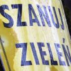 Fotka nr 2 z 4