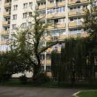 Fotka nr 2 z 6