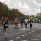 zdjęcie nr 440