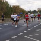 zdjęcie nr 246