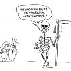 zdjęcie nr 8