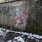 Fotka nr 3 z 4
