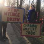 zdjęcie nr 17