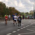 zdjęcie nr 442