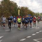 zdjęcie nr 431