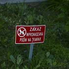 Fotka nr 1 z 2