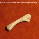 zdjęcie nr 21