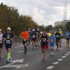 zdjęcie nr 379