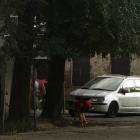 Fotka nr 2 z 4