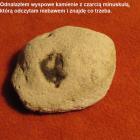 zdjęcie nr 20