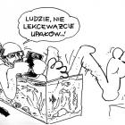 zdjęcie nr 7