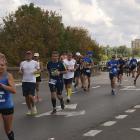 zdjęcie nr 460