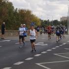 zdjęcie nr 272