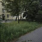 Fotka nr 2 z 5