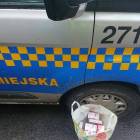 Fotka nr 5 z 7