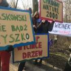 zdjęcie nr 13