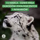 Fotka nr 2 z 7