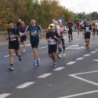 zdjęcie nr 244