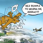 Fotka nr 3 z 10