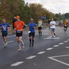 zdjęcie nr 258