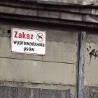 Fotka nr 2 z 7