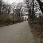 zdjęcie nr 7