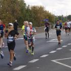 zdjęcie nr 245