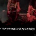zdjęcie nr 8