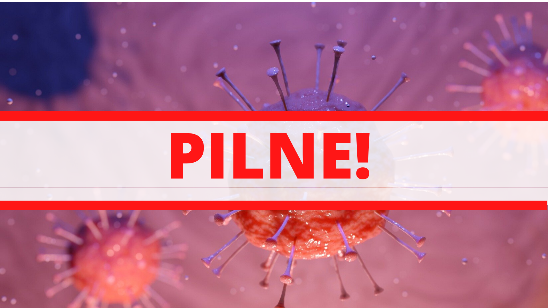 Zdjęcie: Praga Północ Warszawa wiadomości Praga Północ Dzielnica Warszawy iPragapolnoc